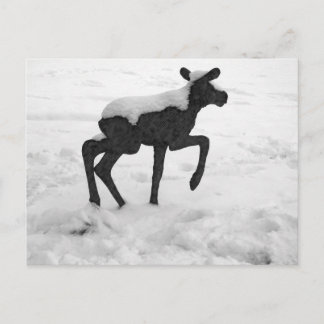 Snow Covered Baby Moose Postcard
