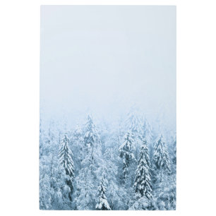 Snow covered beech spruce forest in fog metal print