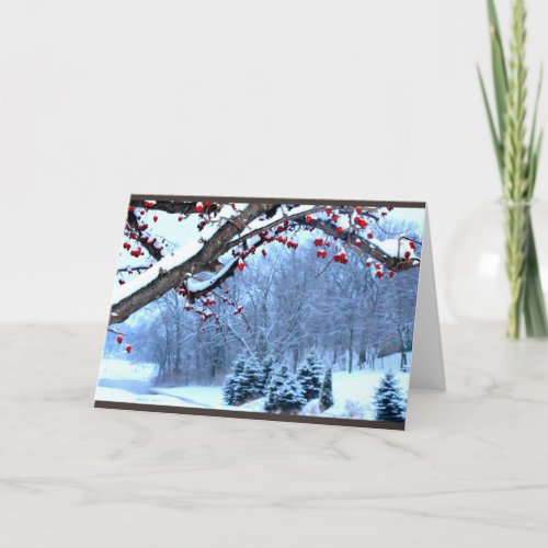 Snow Covered Berry Trees River Scene Card