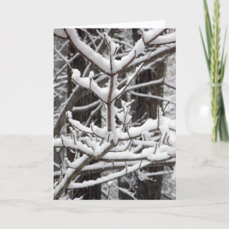 Snow-covered Branches Card