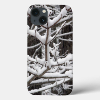 Snow-covered Branches iPhone 13 Case