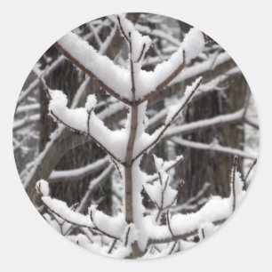 Snow-covered Branches Classic Round Sticker