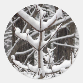 Snow-covered Branches Classic Round Sticker