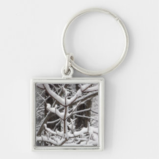 Snow-covered Branches Keychain