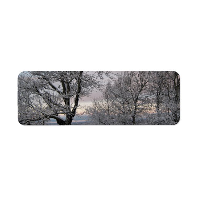 Snow Covered Branches Label (Front)