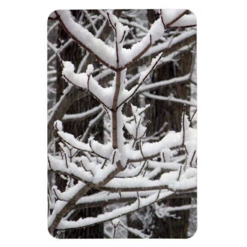 Snow_covered Branches Magnet
