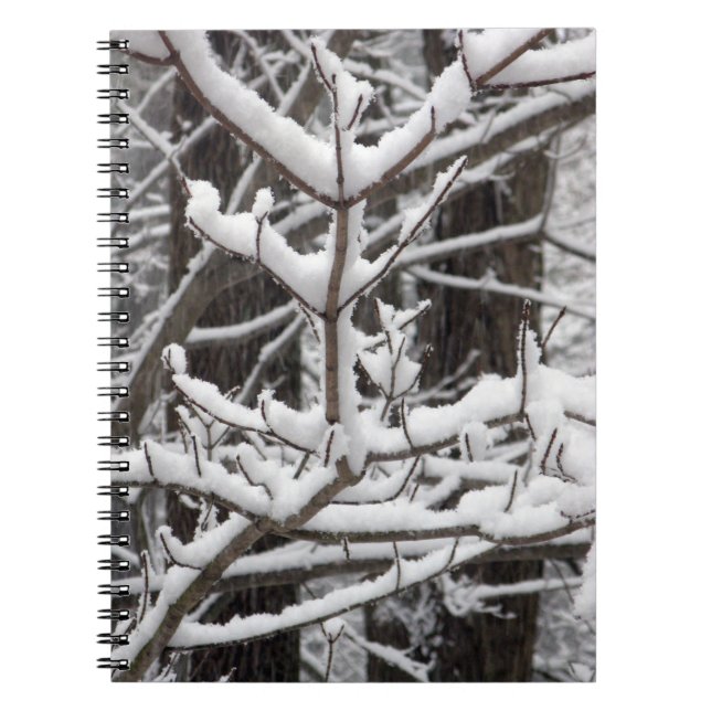 Snow-covered Branches Notebook (Front)