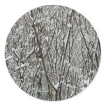 Snow Covered Branches Winter Abstract Classic Round Sticker