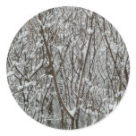 Snow Covered Branches Winter Abstract Classic Round Sticker