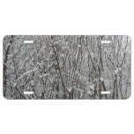 Snow Covered Branches Winter Abstract License Plate