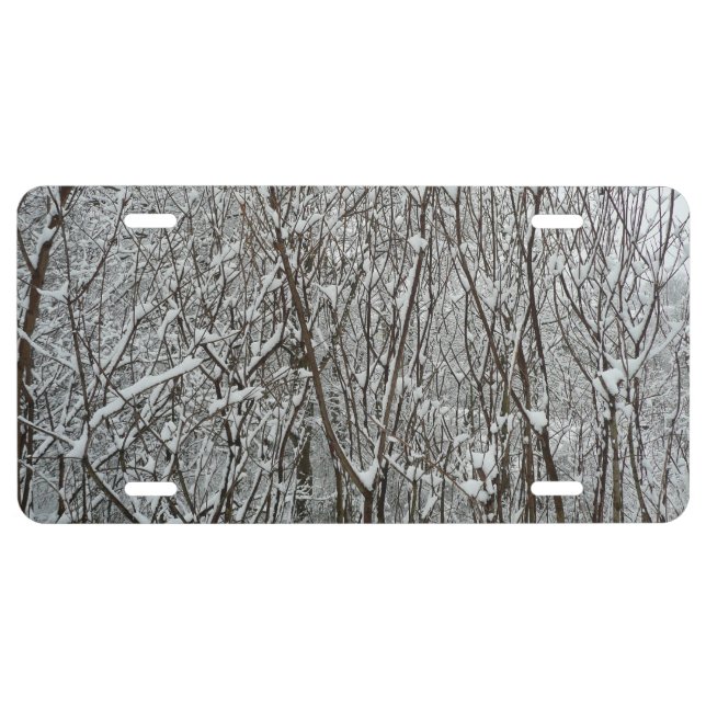 Snow Covered Branches Winter Abstract License Plate (Front)