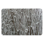 Snow Covered Branches Winter Abstract Magnet