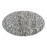 Snow Covered Branches Winter Abstract Oval Sticker