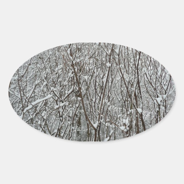 Snow Covered Branches Winter Abstract Oval Sticker (Front)