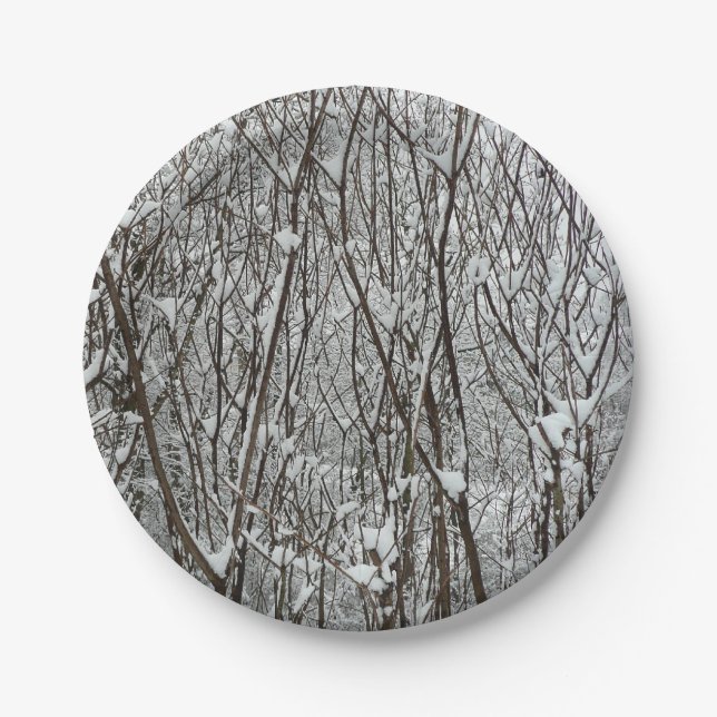 Snow Covered Branches Winter Abstract Paper Plates (Front)