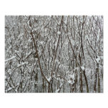 Snow Covered Branches Winter Abstract Photo Print