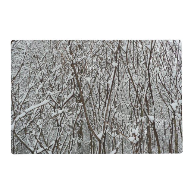 Snow Covered Branches Winter Abstract Placemat (Front)