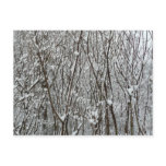 Snow Covered Branches Winter Abstract Postcard