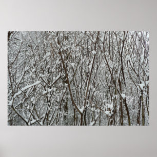Snow Covered Branches Winter Abstract Poster