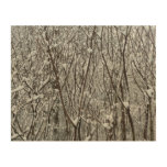 Snow Covered Branches Winter Abstract Wood Wall Art