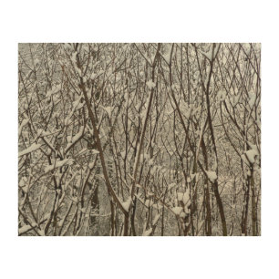 Snow Covered Branches Winter Abstract Wood Wall Art