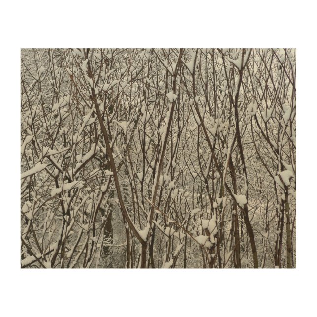 Snow Covered Branches Winter Abstract Wood Wall Art (Front)