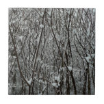 Snow Covered Branches Winter Ceramic Tile