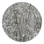 Snow Covered Branches Winter Classic Round Sticker