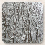 Snow Covered Branches Winter Drink Coaster