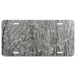 Snow Covered Branches Winter License Plate