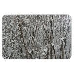 Snow Covered Branches Winter Magnet
