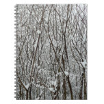 Snow Covered Branches Winter Notebook