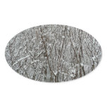 Snow Covered Branches Winter Oval Sticker