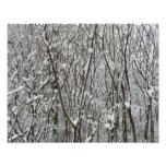 Snow Covered Branches Winter Photo Print