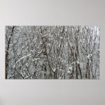 Snow Covered Branches Winter Poster