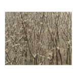 Snow Covered Branches Winter Wood Wall Art