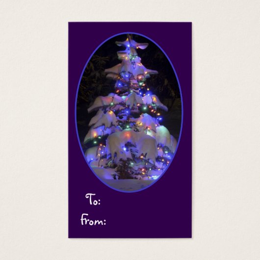 Snow Covered Brightly Lit Christmas Tree (Front)