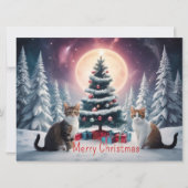 Snow Covered Christmas Tree with Cats (Front)