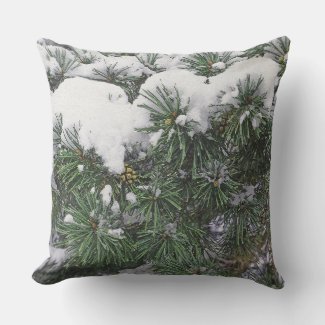 SNOW-COVERED EVERGREEN BOUGHS WITH PINE CONE