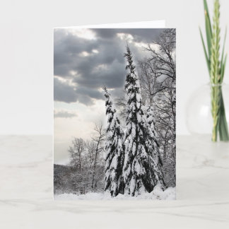 Snow-Covered Evergreen Trees Under Dramatic Winter Card