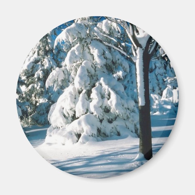 Snow Covered Evergreens Magnet (Front)