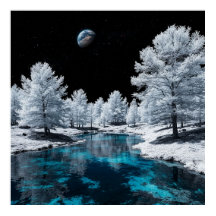 Snow-Covered Forest and Tranquil Lake Under Sky