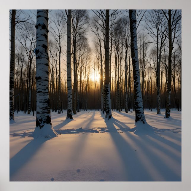 Snow-Covered Forest At Dusk Poster (Front)