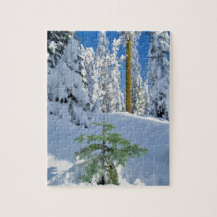 Snow Covered Forest in Oregon Jigsaw Puzzle