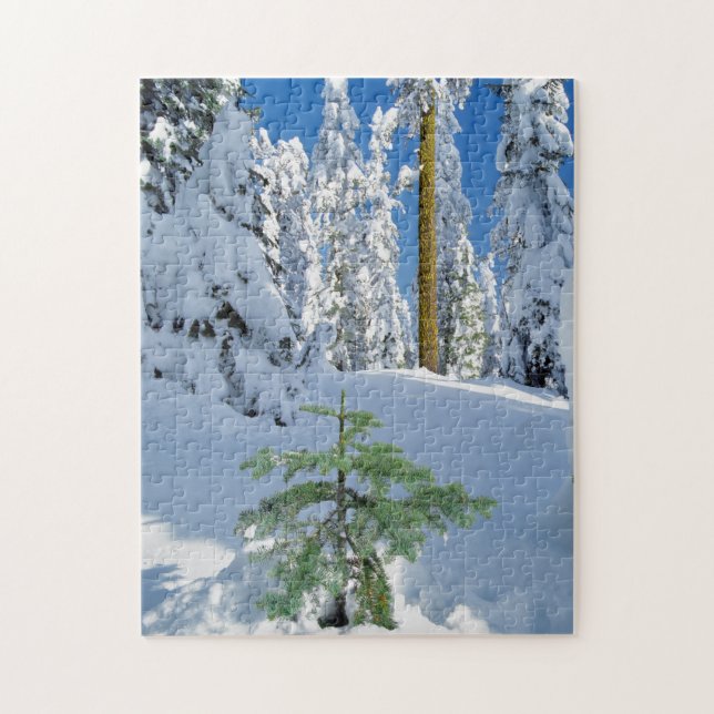 Snow Covered Forest in Oregon Jigsaw Puzzle (Vertical)