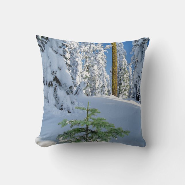 Snow Covered Forest in Oregon Throw Pillow (Front)