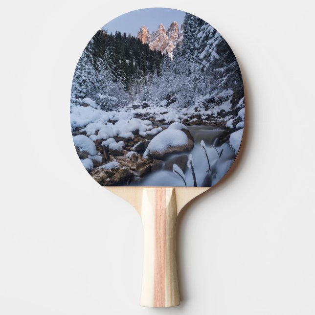Snow-covered Geisler Mountain Range Ping-Pong Paddle (Front)