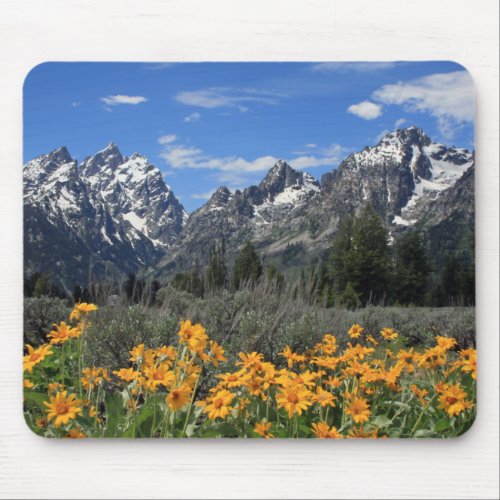 Snow Covered Grand Teton Range with Yellow Flowers Mouse Pad