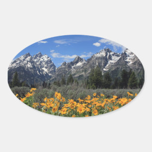 Snow Covered Grand Teton Range with Yellow Flowers Oval Sticker