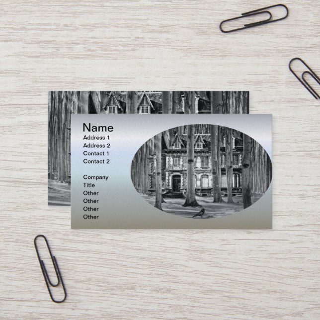 Snow Covered Haunted House Business Card (Front/Back In Situ)